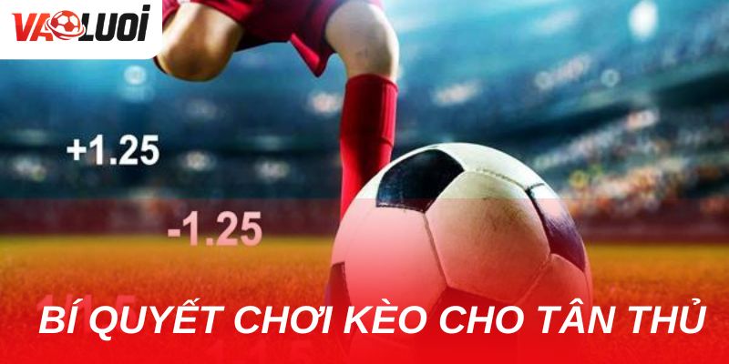 Kèo chấp một trái có khó không? Hướng dẫn chi tiết cho tân thủ Bí quyết chơi kèo chấp một trái cho tân thủ