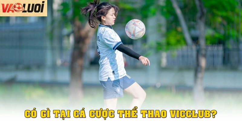 Bí Kíp Cá Cược Thể Thao Tại Vicclub Đẳng Cấp Và Uy Tín Có gì tại cá cược thể thao Vicclub?