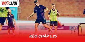 Cách chơi kèo chấp 1.25 từ cơ bản đến nâng cao cho bet thủ