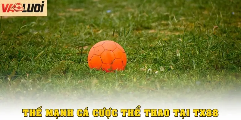 Cá Cược Thể Thao Tại TX88 Đẳng Cấp Với Tỷ Lệ Hấp Dẫn Thế mạnh cá cược thể thao tại TX88