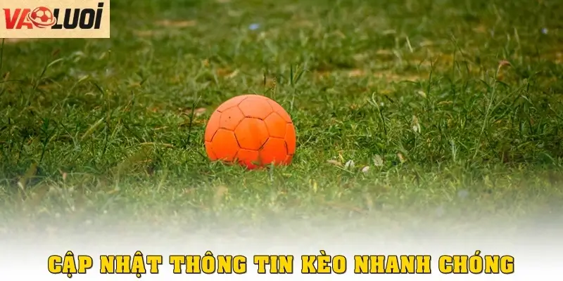 Thông tin cập nhật kèo nhanh, chính xác